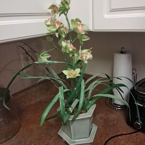 Elegant Green and Pink Orchid Arrangement in Ceramic Pot